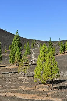 Images Dated 18th November 2011: Samara volcano in the Teide National Park (Parque Nacional del Teide)