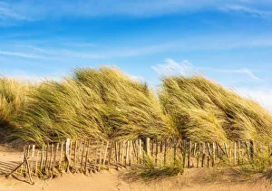 Sand dunes, Camber Sands, East Sussex, England Sand dunes, Camber Sands, East Sussex, England