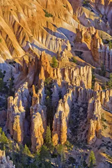 Sandstone formations, Bryce Canyon, Bryce Canyon National Park, Utah, USA Sandstone formations, Bryce Canyon, Bryce Canyon National Park, Utah, USA