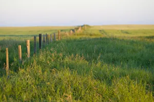 Saskatchewan, Canada. A fence on the Canadian Prairie Saskatchewan, Canada. A fence on the Canadian Prairie