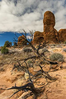 Scenic desert landscape, Arches National Park, Utah, USA Scenic desert landscape, Arches National Park, Utah, USA