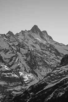 Schreckhorn, Grindelwald, Jungfrau Region, Berner Oberland, Switzerland Schreckhorn, Grindelwald, Jungfrau Region, Berner Oberland, Switzerland