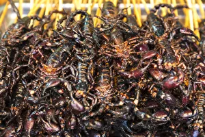 Scorpions on sticks, Donghuamen Night Market, Wangfujing, Beijing, China Scorpions on sticks, Donghuamen Night Market, Wangfujing, Beijing, China