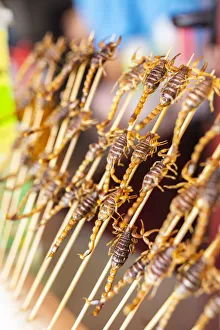 Scorpions on sticks, snack, Beijing, China Scorpions on sticks, snack, Beijing, China
