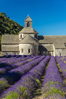 Senanque Abbey or Abbaye Notre-Dame de Senanque with lavender field in bloom, Gordes Senanque Abbey or Abbaye Notre-Dame de Senanque with lavender field in bloom, Gordes