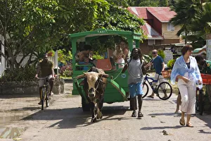 Seychelles, La Digue Island, La Passe, traditional oxcart taxi Seychelles, La Digue Island, La Passe, traditional oxcart taxi