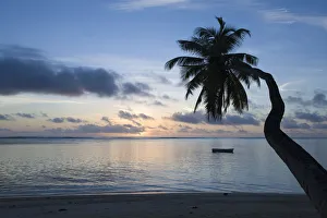 Seychelles, Mahe Island, horizontal palm, Fairyland Beach, dawn Seychelles, Mahe Island, horizontal palm, Fairyland Beach, dawn