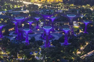 Singapore, elevated view of the Gardens By The Bay, Super Tree Grove, dawn Singapore, elevated view of the Gardens By The Bay, Super Tree Grove, dawn