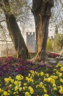 Sirmione, Garda Lake, Province of Brescia, Italy Sirmione, Garda Lake, Province of Brescia, Italy