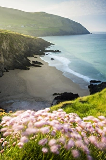 Slea Head, Dingle peninsula, County Kerry, Munster province, Ireland, Europe Slea Head, Dingle peninsula, County Kerry, Munster province, Ireland, Europe