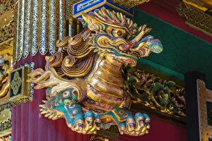 Images Dated 18th June 2014: Small dragon close-up, Taiyuin-byo Temple, Nikko, Tochigi Prefecture, Japan