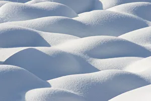 : White Collection