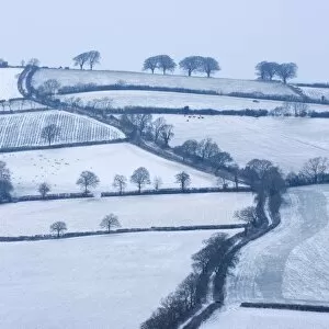 Images Dated 2nd February 2009: Snow covered winding country lane and rural landscape near Stockleigh Pomeroy, Mid Devon, England