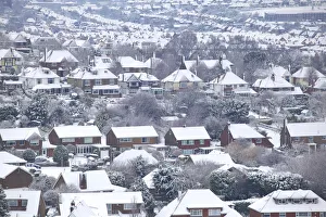 Suburbia Gallery: Snow in Suburbia, East Sussex, England, UK, Europe