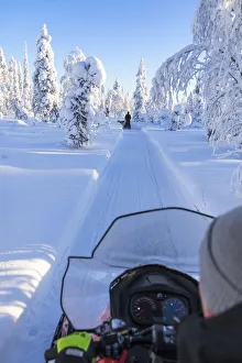 Snowmobile in the snowy woods, Kuusamo, Northern Ostrobothnia region, Lapland, Finland Snowmobile in the snowy woods, Kuusamo, Northern Ostrobothnia region, Lapland, Finland