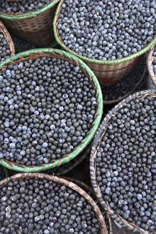 South America, Brazil, Para, Amazon, baskets of acai berry at the morning acai market South America, Brazil, Para, Amazon, baskets of acai berry at the morning acai market
