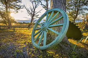 South America, Chile, Tierra del Fuego, Lago Blanco, Old cart wheel in a field South America, Chile, Tierra del Fuego, Lago Blanco, Old cart wheel in a field