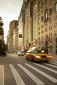 South Central Park, Manhattan, New York City, USA South Central Park, Manhattan, New York City, USA