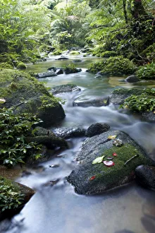 South East Asia, Thailand, South Thailand, Nakhon Si Thammarat province, Khao Luang South East Asia, Thailand, South Thailand, Nakhon Si Thammarat province, Khao Luang