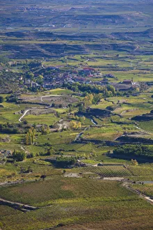 Spain, La Rioja Area, Alava Province, near-Laguardia, elevated view of La Rioja Spain, La Rioja Area, Alava Province, near-Laguardia, elevated view of La Rioja