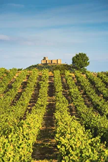 Spain, La Rioja. Vineyards and Davalillo Castle in the background Spain, La Rioja. Vineyards and Davalillo Castle in the background
