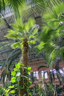 Spain, Madrid, Atocha Railway Station (Estacion de Atocha) Spain, Madrid, Atocha Railway Station (Estacion de Atocha)