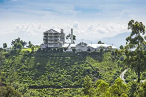 Sri Lanka, Nuwara Eliya, Heritance tea estate, Heritance tea factory hotel Sri Lanka, Nuwara Eliya, Heritance tea estate, Heritance tea factory hotel