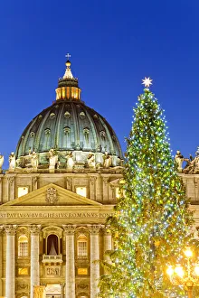 St Peters Basilica, Basilica di San Pietro, Christmas tree and crib. Rome, Lazio St Peters Basilica, Basilica di San Pietro, Christmas tree and crib. Rome, Lazio