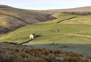 A stone barn in a valley near Arncliffe, Yorkshire Dales National Park, North Yorkshire A stone barn in a valley near Arncliffe, Yorkshire Dales National Park, North Yorkshire