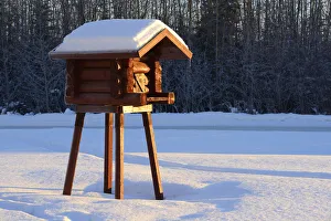 Storage log cabin, Fairbanks, Alaska, USA Storage log cabin, Fairbanks, Alaska, USA