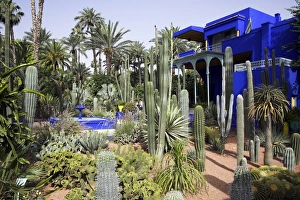 The sub-tropical Jardin Majorelle in the Ville Nouvelle of Marrakech The sub-tropical Jardin Majorelle in the Ville Nouvelle of Marrakech