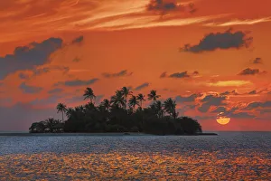 South Male Atoll Gallery: Sunrise in the tropics with palm island - Maldives, South Male Atoll
