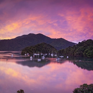 Sunset illuminates the picturesque Ngakuta Bay, Queen Charlotte Sound, Marlborough Sounds Sunset illuminates the picturesque Ngakuta Bay, Queen Charlotte Sound, Marlborough Sounds