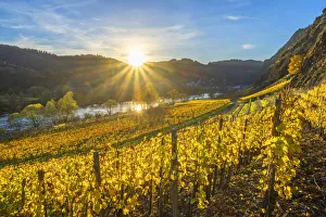 Sunset near Cochem, Mosel valley, Rhineland-Palatinate, Germany Sunset near Cochem, Mosel valley, Rhineland-Palatinate, Germany