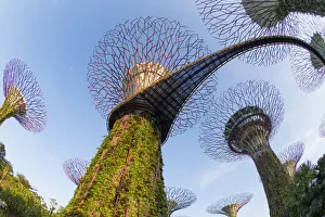 Supertrees at Gardens by the Bay, Singapore, Southeast Asia Supertrees at Gardens by the Bay, Singapore, Southeast Asia