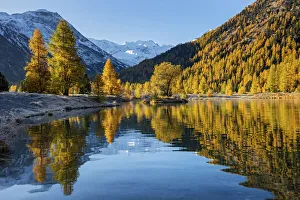 Switzerland, Canton Gaubunden, Engadin, Morteratsch valley Switzerland, Canton Gaubunden, Engadin, Morteratsch valley