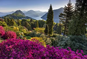 Switzerland, Ticino Canton, Lago di Lugano, Park San Grato Switzerland, Ticino Canton, Lago di Lugano, Park San Grato