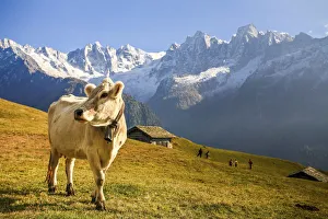 Switzerland, Tombal, in the background the Sciore peak, Cengalo peak, Bregaglia valley Switzerland, Tombal, in the background the Sciore peak, Cengalo peak, Bregaglia valley