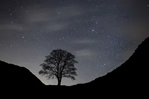 Hadrian's Wall Prints: Sycamore Gap Print, Hadrian's Wall, Northumberland