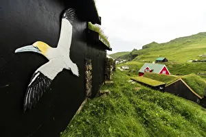 Symbol of Northern Gannet seabird on outside walls of house, Mykines island, Faroe Symbol of Northern Gannet seabird on outside walls of house, Mykines island, Faroe