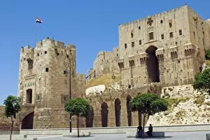 Citadel Collection: Syria, Aleppo. Entrance to the Citadel