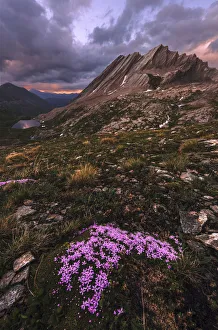 Taillante peak in the French Alps during a summer sunset, Sothern France Taillante peak in the French Alps during a summer sunset, Sothern France