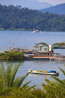 North East Asia Gallery: Taiwan, Nantou, Fishing boats on Sun Moon Lake