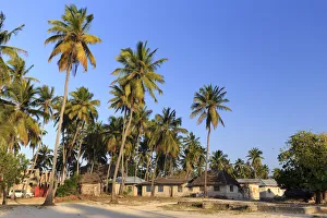 Tanzania. Zanzibar, Jambiani, Jambani Village Tanzania. Zanzibar, Jambiani, Jambani Village