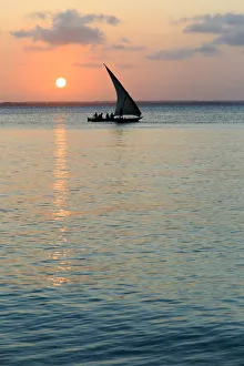 Tanzania. Zanzibar, Michamvi Village, Dhows (traditional sailboats) saling at sunset Tanzania. Zanzibar, Michamvi Village, Dhows (traditional sailboats) saling at sunset