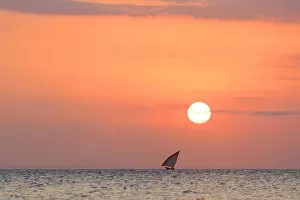 Stone Town of Zanzibar Gallery: Tanzania. Zanzibar, Stone Town, Old Town, Dhow (traditional sailboat) sailing at sunset