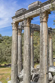 Temple of Zeus Lepsinos, Euromus, Mugla Province, Turkey Temple of Zeus Lepsinos, Euromus, Mugla Province, Turkey