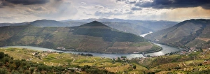 Terraced vineyards along the Douro river and Pinhao. Alto Douro, a Unesco World Heritage Site Terraced vineyards along the Douro river and Pinhao. Alto Douro, a Unesco World Heritage Site