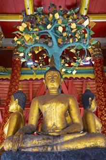 Thailand, Lampang, Wat Pong Sanuk Nua, low view of buddha Thailand, Lampang, Wat Pong Sanuk Nua, low view of buddha