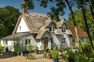 Sudbury Gallery: Thatched Cottage, near Sudbury, Suffolk, England